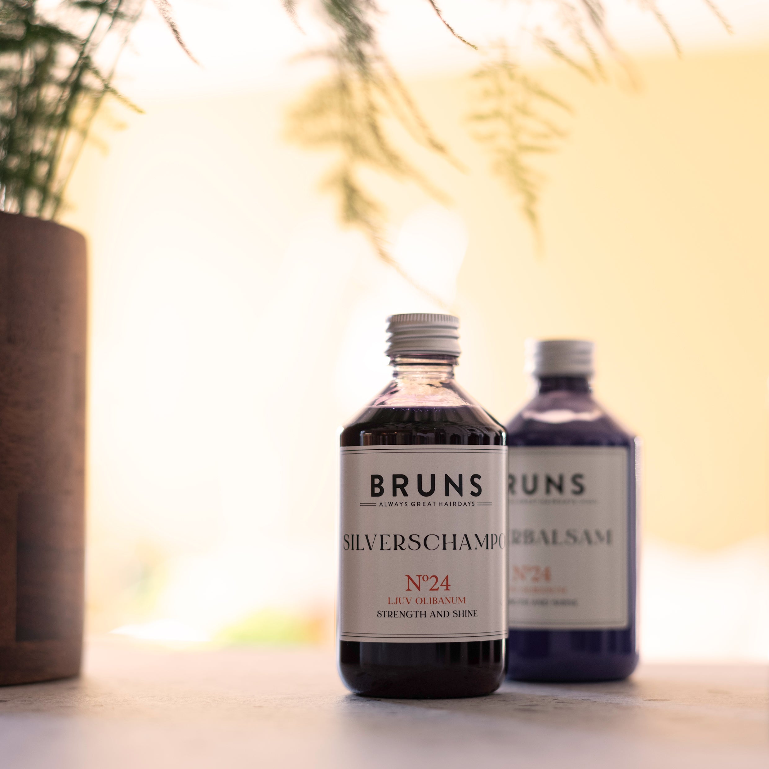 ZILVERSHAMPOO Nº24 SOFT OLIBANUM